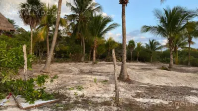 Terreno en México, Yucatán, Tizimín, foto 6