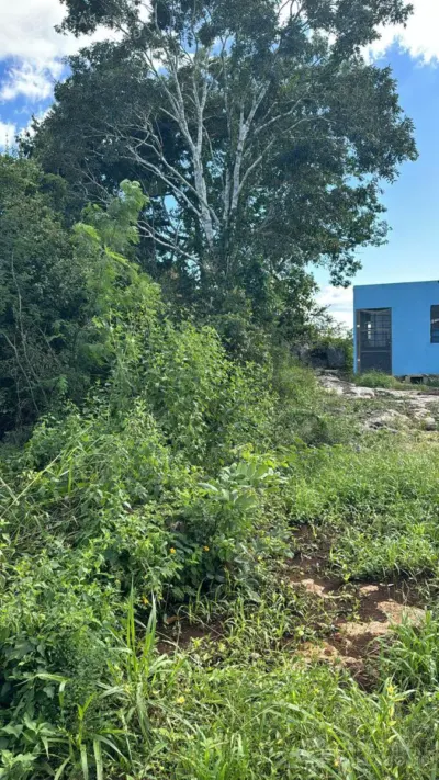 Terreno en México, Yucatán, Valladolid, foto 3