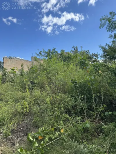 Terreno en México, Yucatán, Valladolid, foto 5