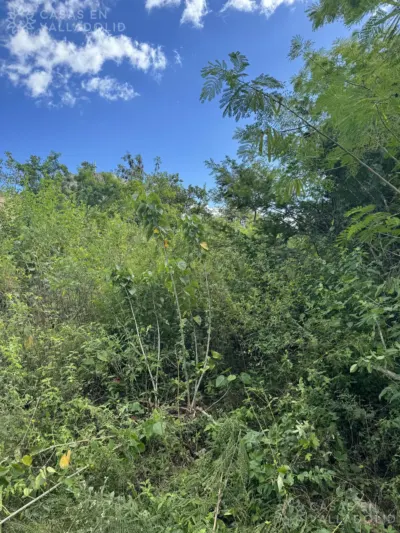 Terreno en México, Yucatán, Valladolid, foto 6