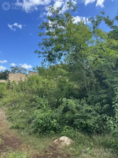 Terreno en México, Yucatán, Valladolid, foto 8