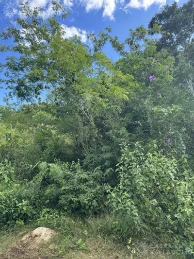 Terreno en México, Yucatán, Valladolid, foto 9