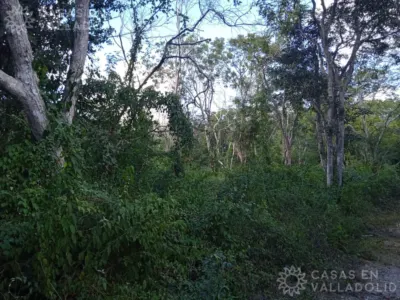 Terreno en México, Yucatán, Valladolid, Pueblo Dzitnup, foto 2