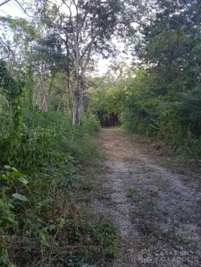 Terreno en México, Yucatán, Valladolid, Pueblo Dzitnup, foto 3