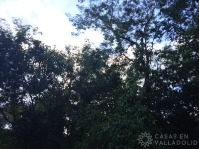 Terreno en México, Yucatán, Valladolid, Pueblo Dzitnup, foto 4
