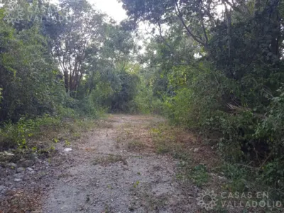 Terreno en México, Yucatán, Valladolid, Pueblo Dzitnup, foto 5