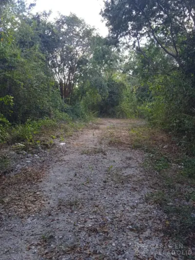 Terreno en México, Yucatán, Valladolid, Pueblo Dzitnup, foto 6