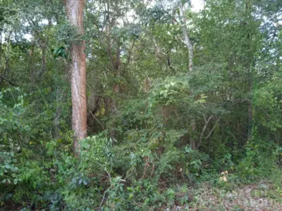 Terreno en México, Yucatán, Valladolid, Pueblo Dzitnup, foto 7