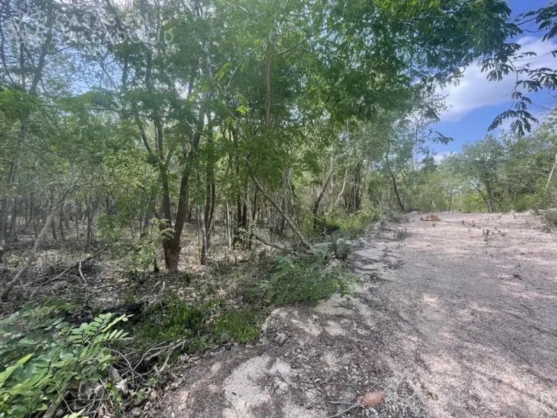 Terreno en México, Yucatán, Valladolid, foto 1
