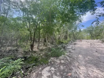 Terreno en México, Yucatán, Valladolid, foto 1