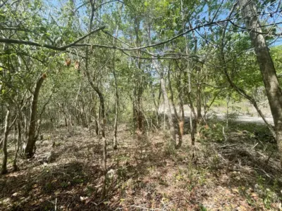 Terreno en México, Yucatán, Valladolid, foto 4