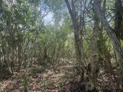 Terreno en México, Yucatán, Valladolid, foto 5