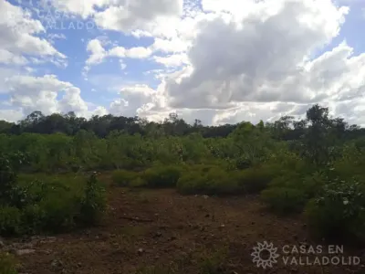 Terreno en México, Yucatán, Kaua, foto 2