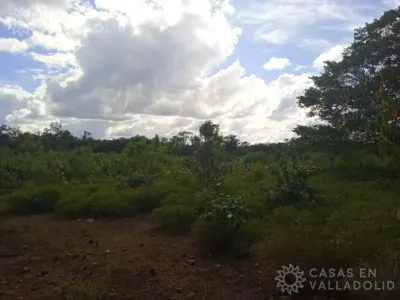 Terreno en México, Yucatán, Kaua, foto 3