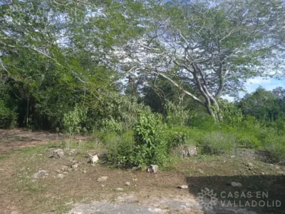 Terreno en México, Yucatán, Kaua, foto 4