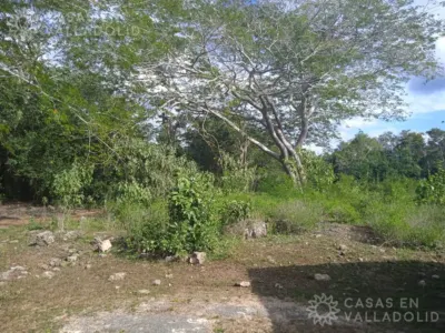 Terreno en México, Yucatán, Kaua, foto 5