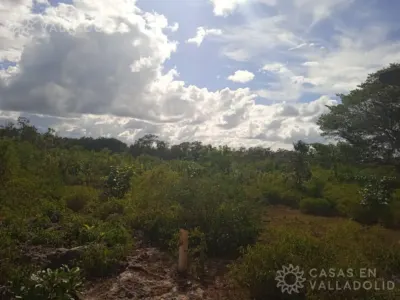Terreno en México, Yucatán, Kaua, foto 7
