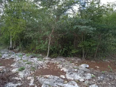 Terreno en México, Yucatán, Valladolid, foto 3
