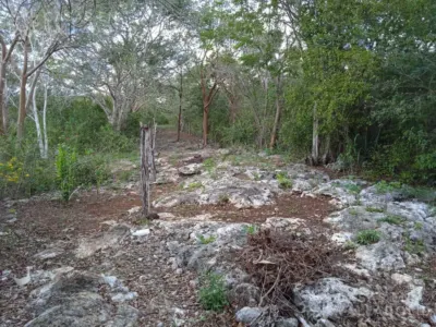 Terreno en México, Yucatán, Valladolid, foto 4