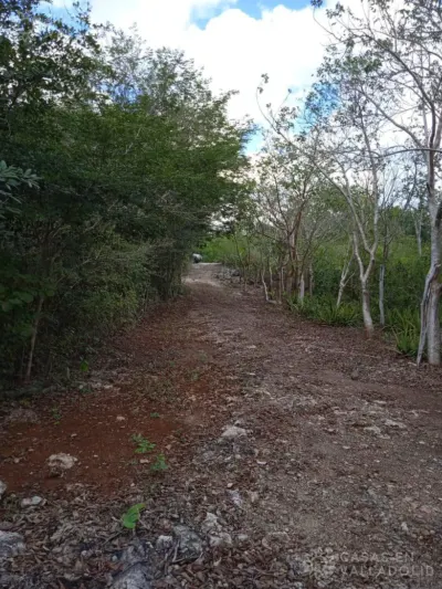 Terreno en México, Yucatán, Valladolid, foto 5
