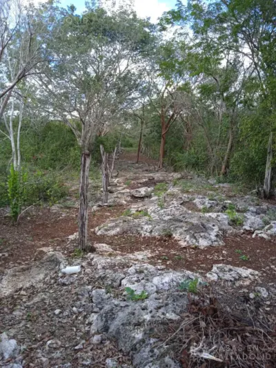 Terreno en México, Yucatán, Valladolid, foto 6