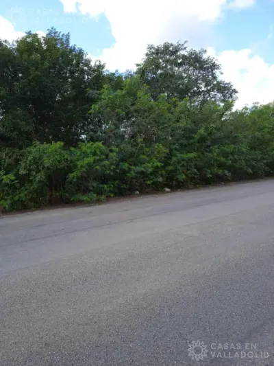 Terreno en México, Yucatán, Valladolid, foto 8