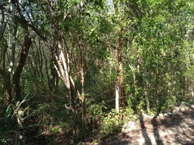 Terreno en México, Yucatán, Valladolid, foto 3