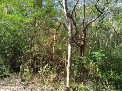 Terreno en México, Yucatán, Valladolid, foto 5
