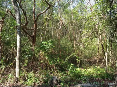 Terreno en México, Yucatán, Valladolid, foto 6
