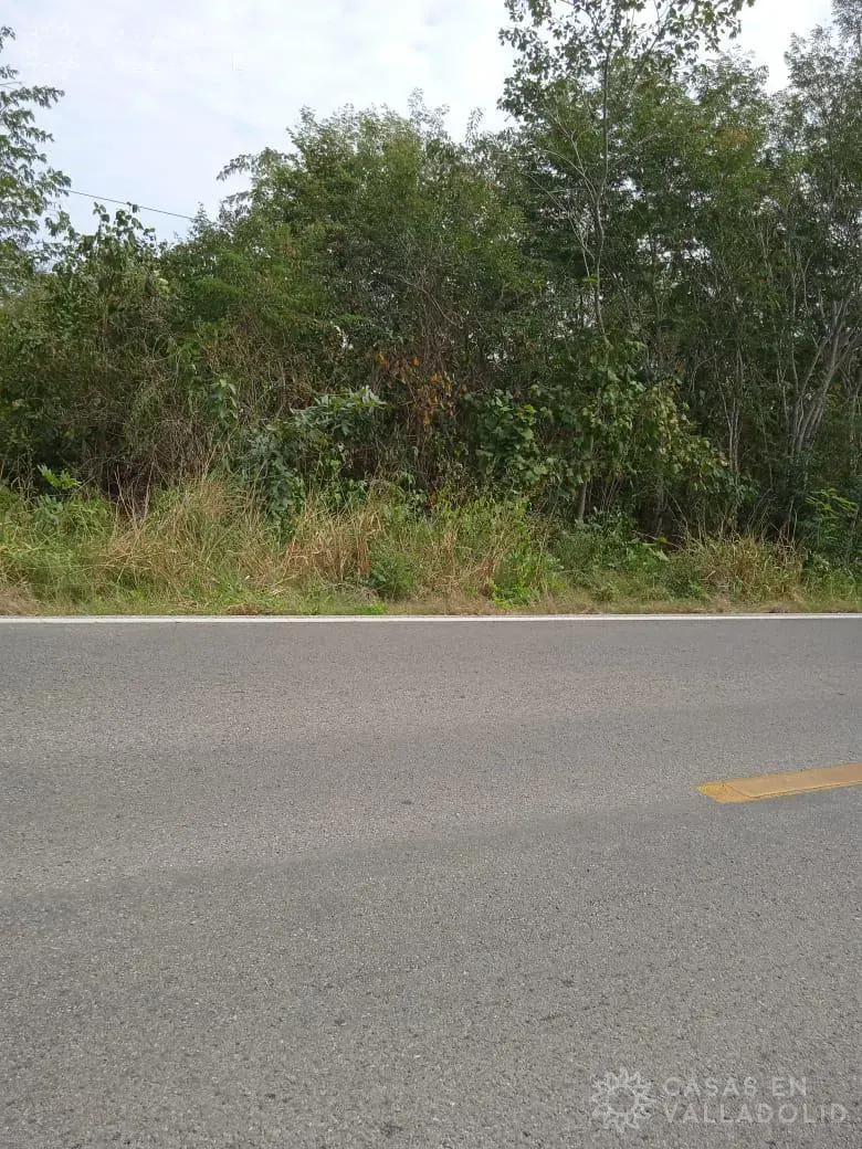 Terreno en México, Yucatán, Tixcacalcupul, foto 1