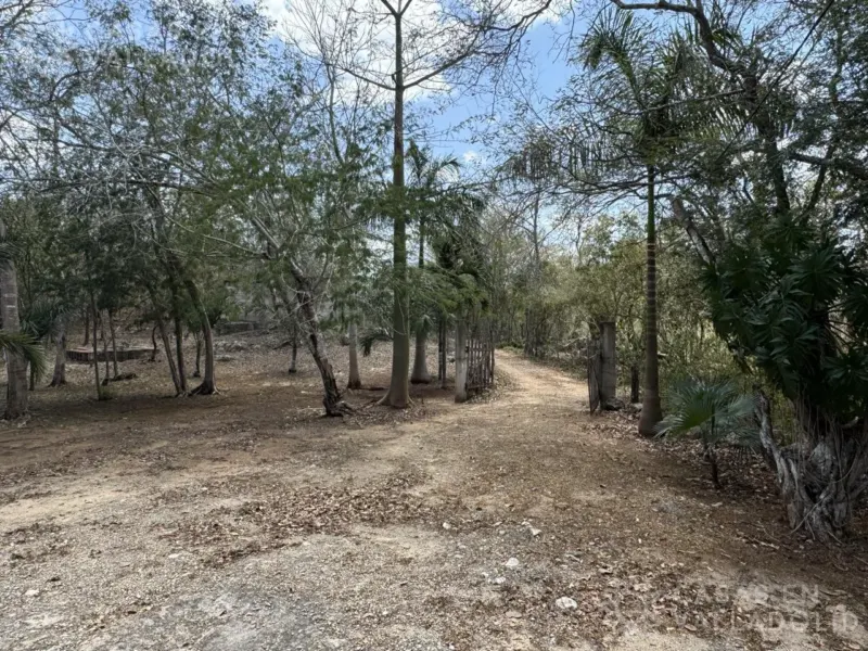 Terreno en México, Yucatán, Valladolid, Pueblo Ebtun, foto 1