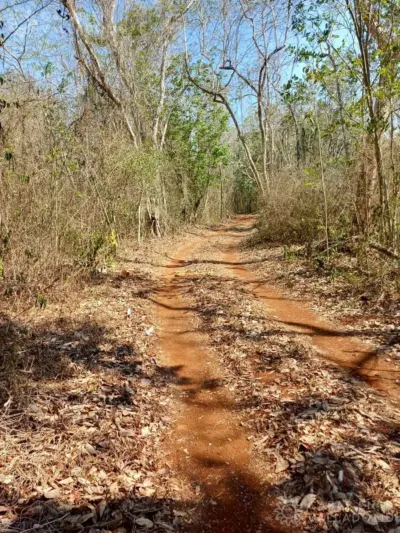 Terreno en México, Yucatán, Tekom, Pueblo Tekom, foto 1