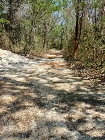 Terreno en México, Yucatán, Tekom, Pueblo Tekom, foto 2