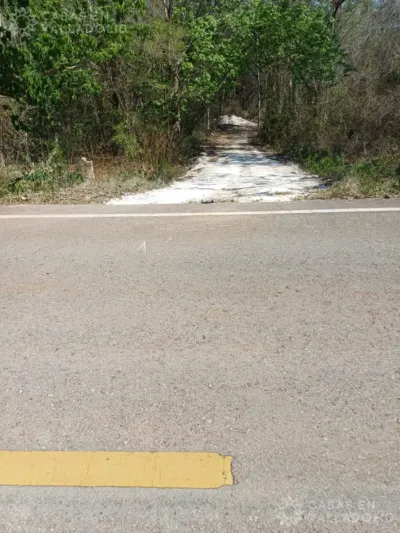 Terreno en México, Yucatán, Tekom, Pueblo Tekom, foto 4