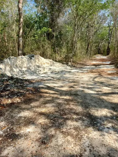 Terreno en México, Yucatán, Tekom, Pueblo Tekom, foto 5