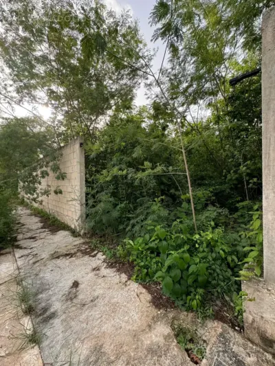 Terreno en México, Yucatán, Valladolid, Residencial Campestre, foto 3