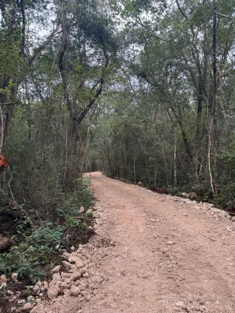 Terreno en México, Yucatán, Cuncunul, foto 1