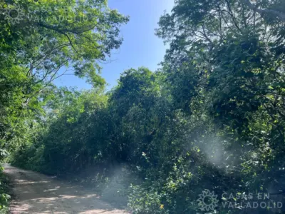 Terreno en México, Quintana Roo, Tulum, Tulum, foto 1