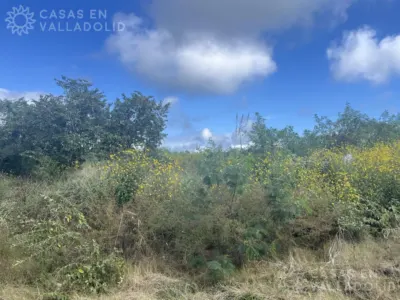 Terreno en México, Yucatán, Valladolid, Residencial Campestre, foto 2