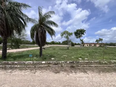 Terreno en México, Yucatán, Valladolid, foto 1
