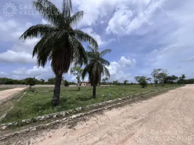 Terreno en México, Yucatán, Valladolid, foto 2