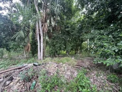 Casa en México, Yucatán, Valladolid, Sisal, foto 25
