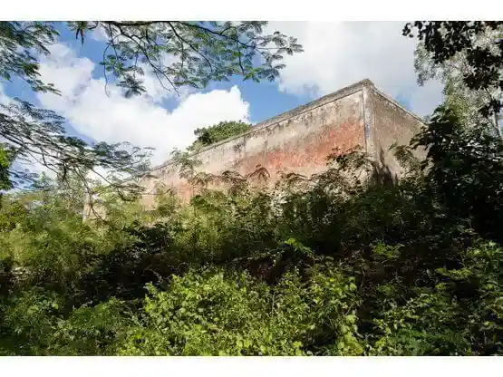 Foto de En venta terreno con casona y cenote en Temozón