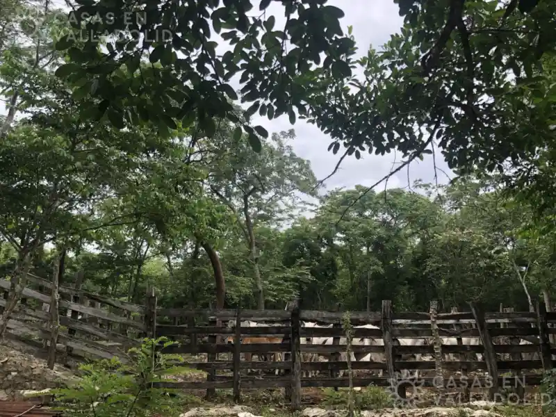 Foto de Rancho con cenote cerca de Nahbalam
