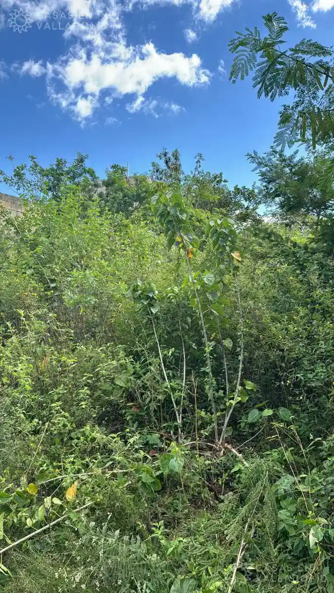 Foto de Terreno en  venta en Zaciabil