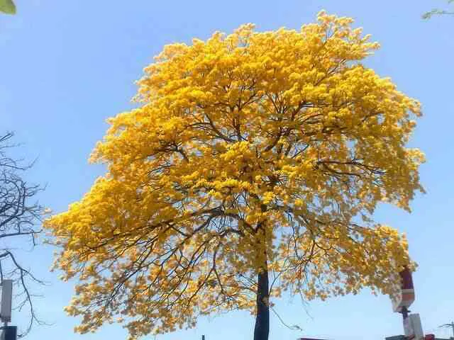 3 reasons to live in Valladolid Yucatan