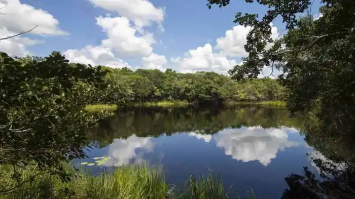Comprar cenotes en Valladolid Yucatán, ¿es posible?