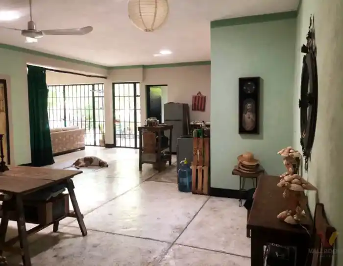 Oportunidades de negocio e inversión en Valladolid Yucatán