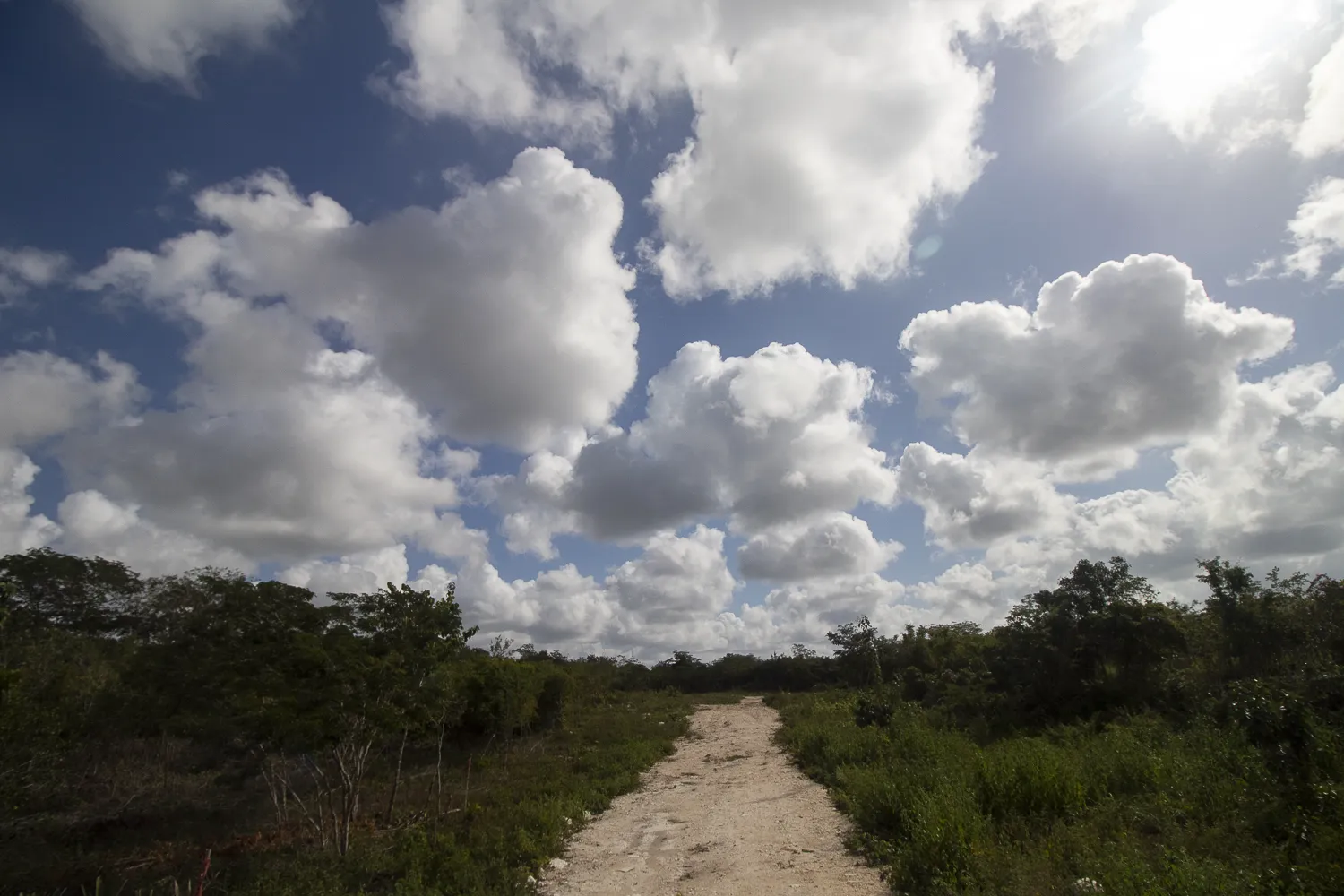 Terreno de inversión en Yucatán, ¿una buena opción?