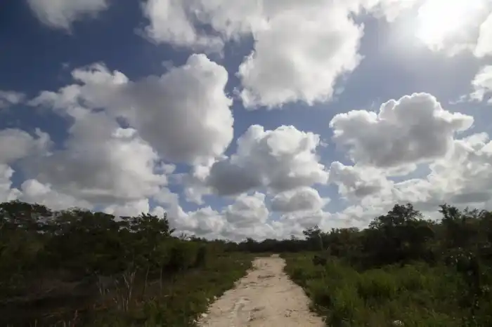Terreno de inversión en Yucatán, ¿una buena opción?